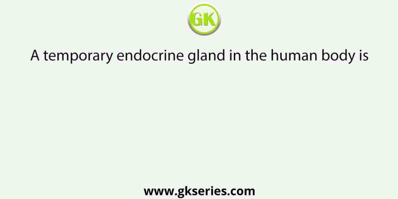 A temporary endocrine gland in the human body is