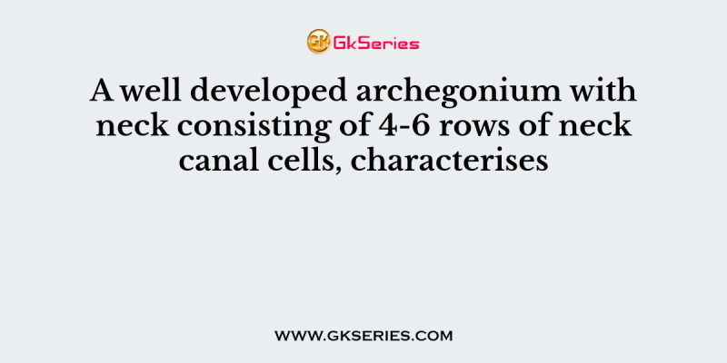 A well developed archegonium with neck consisting of 4-6 rows of neck canal cells, characterises