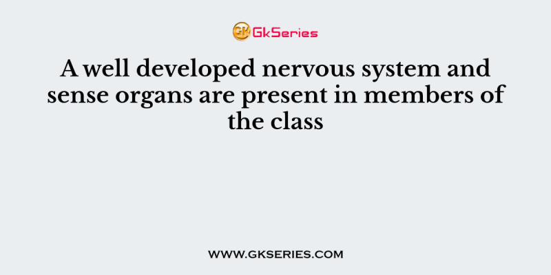 A well developed nervous system and sense organs are present in members of the class