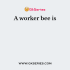 What is the role of a drone bee?