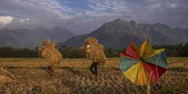 ADB to fund Smartchem Technologies’ farm efficiency initiative