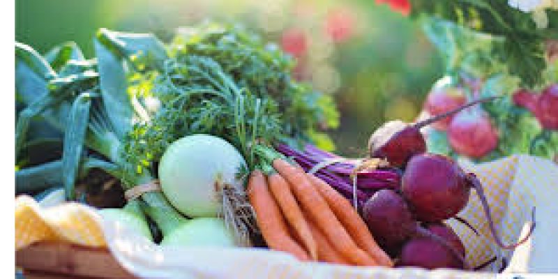 APEDA-CFTRI Sign MoU for Liason Office in Guwahati