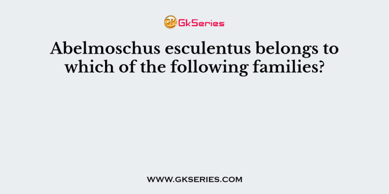Abelmoschus esculentus belongs to which of the following families?