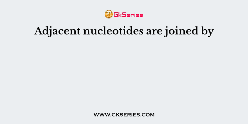 Adjacent nucleotides are joined by