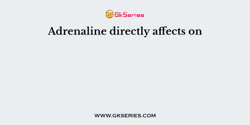 Adrenaline directly affects on