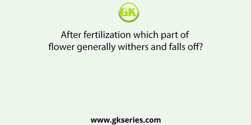 After fertilization which part of flower generally withers and falls off?
