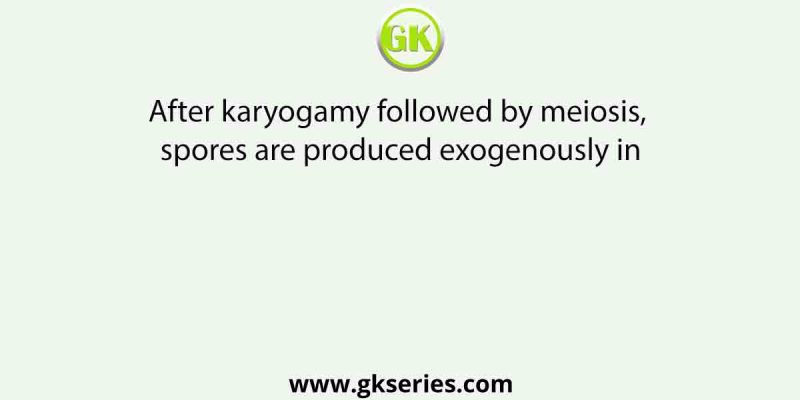 After karyogamy followed by meiosis, spores are produced exogenously in