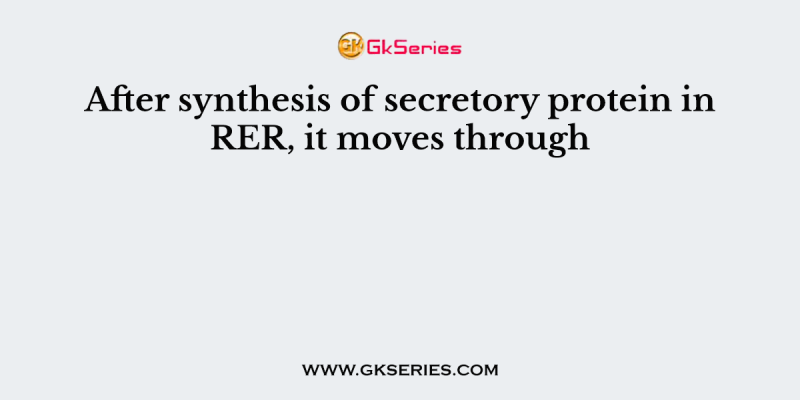 After synthesis of secretory protein in RER, it moves through