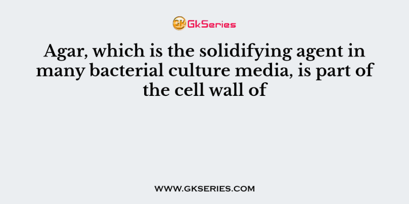 Agar, which is the solidifying agent in many bacterial culture media, is part of the cell wall of