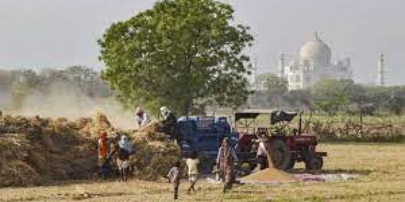Agriculture Infrastructure Fund has crossed the Rs. 8000 crore