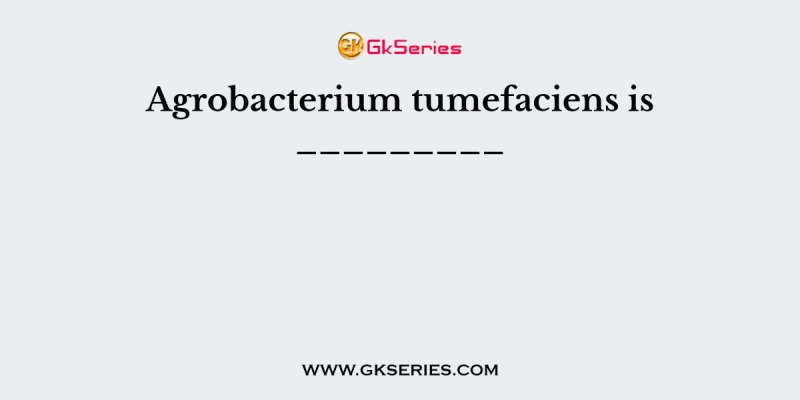 Agrobacterium tumefaciens is _________
