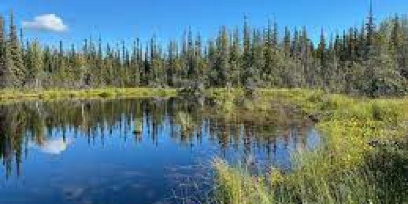 Aibawk cluster becomes the first cluster to be completed under SPMRM