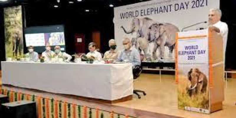 All India Elephant and Tiger population estimation exercise