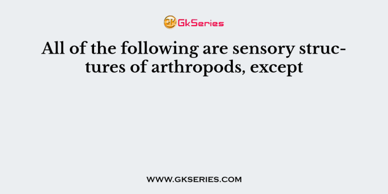 All of the following are sensory structures of arthropods, except