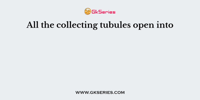 All the collecting tubules open into