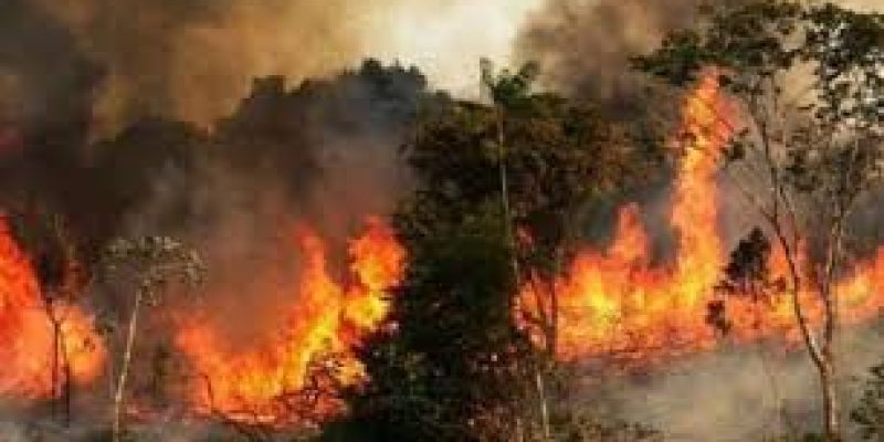 Brazil rejects G7 aid to fight with Amazon fires