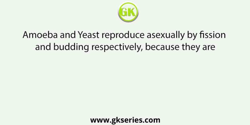 Amoeba and Yeast reproduce asexually by fission and budding respectively, because they are
