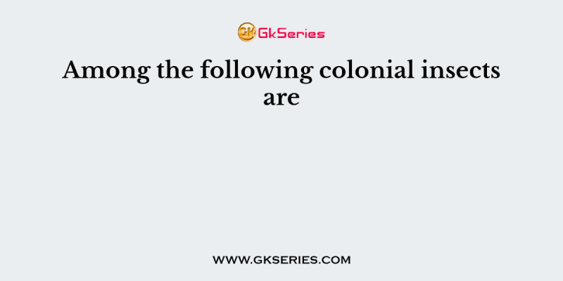Among the following colonial insects are