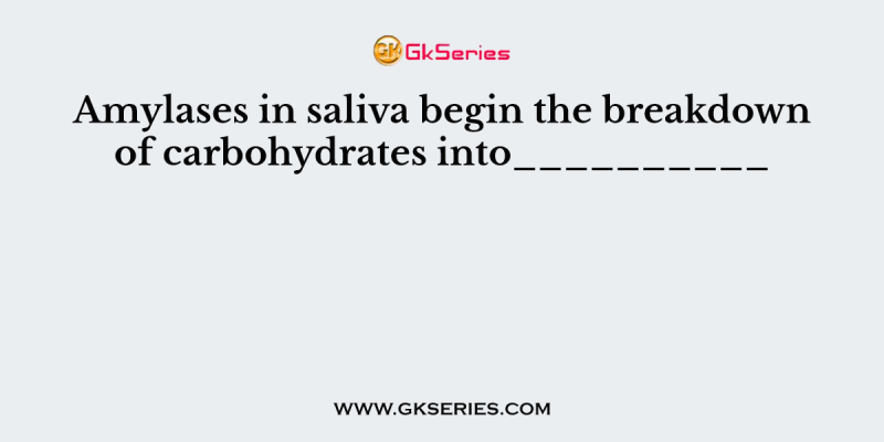 Amylases in saliva begin the breakdown of carbohydrates into__________