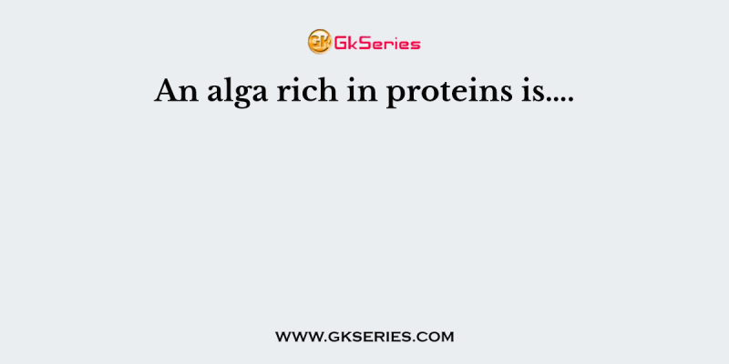 An alga rich in proteins is….
