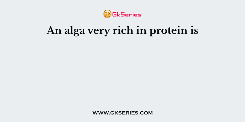 An alga very rich in protein is