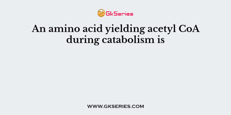 An amino acid yielding acetyl CoA during catabolism is
