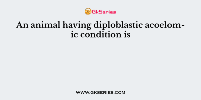An animal having diploblastic acoelomic condition is