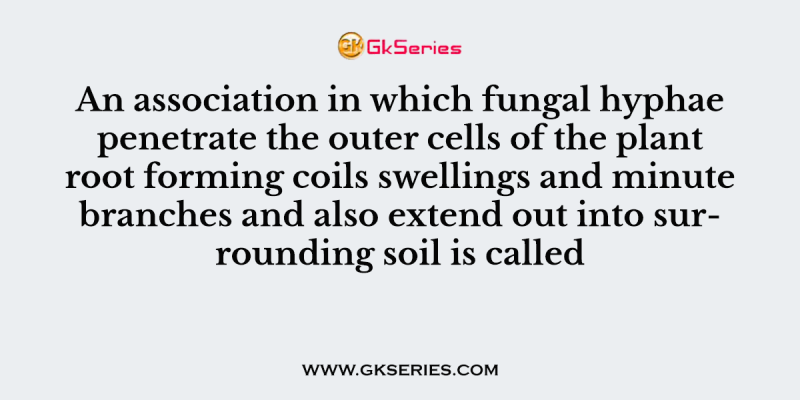 An association in which fungal hyphae penetrate the outer cells of the plant root forming coils swellings and minute branches and also extend out into surrounding soil is called