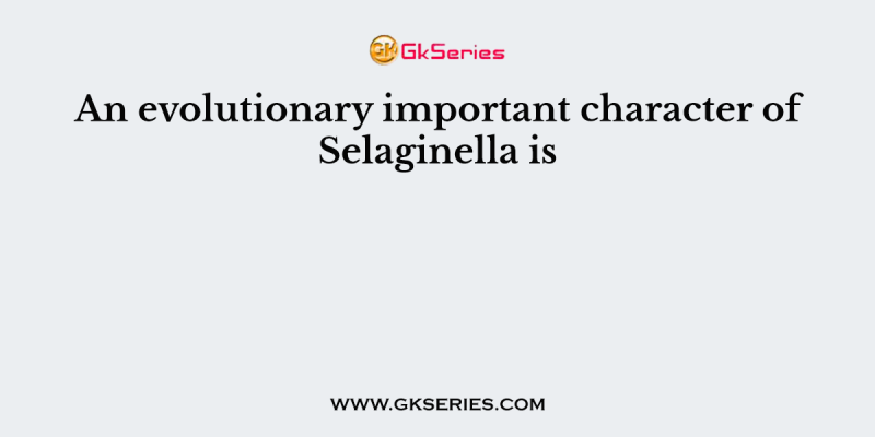 An evolutionary important character of Selaginella is