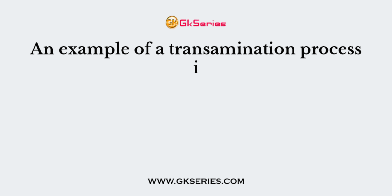 An example of a transamination process i