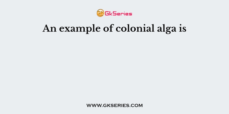 An example of colonial alga is