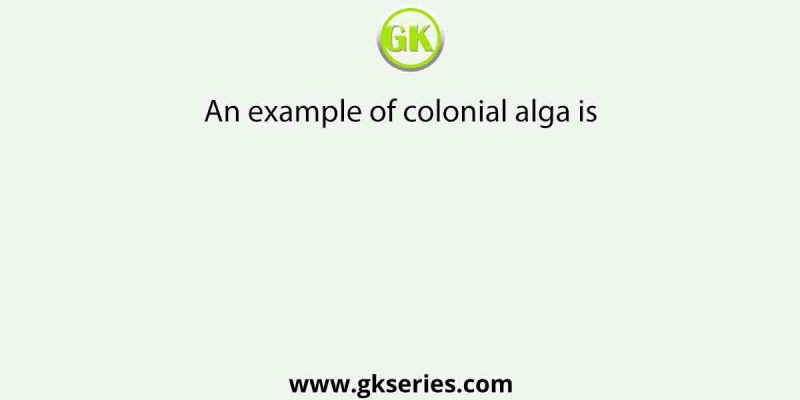 An example of colonial alga is