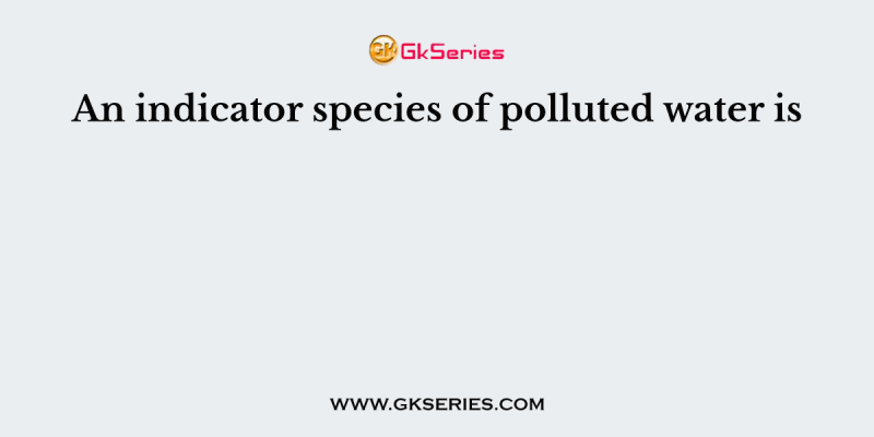 An indicator species of polluted water is