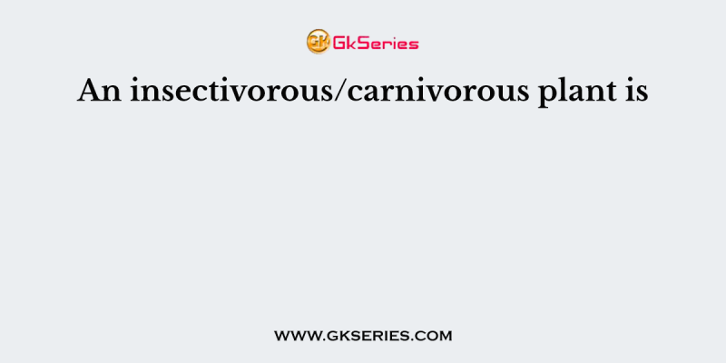 An insectivorous/carnivorous plant is