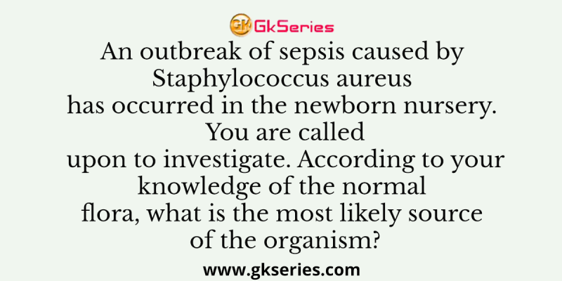 An outbreak of sepsis caused by Staphylococcus aureus has occurred in the newborn nursery. You are called upon to investigate. According to your knowledge of the normal flora, what is the most likely source of the organism?