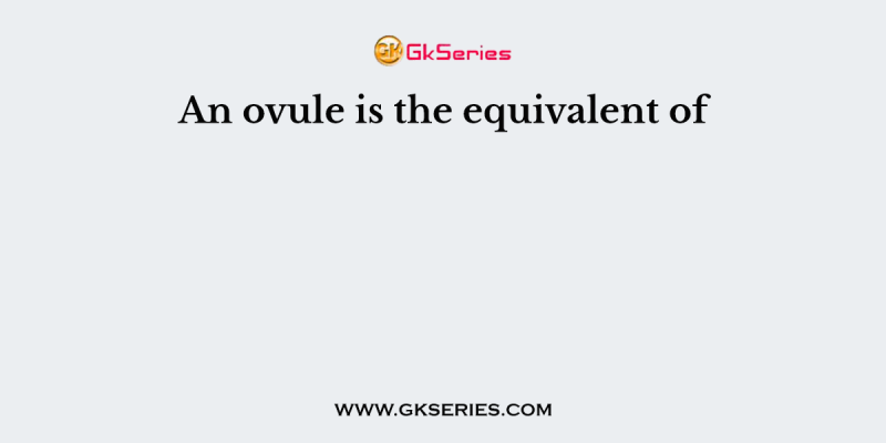 An ovule is the equivalent of