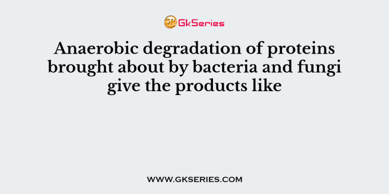 Anaerobic degradation of proteins brought about by bacteria and fungi give the products like