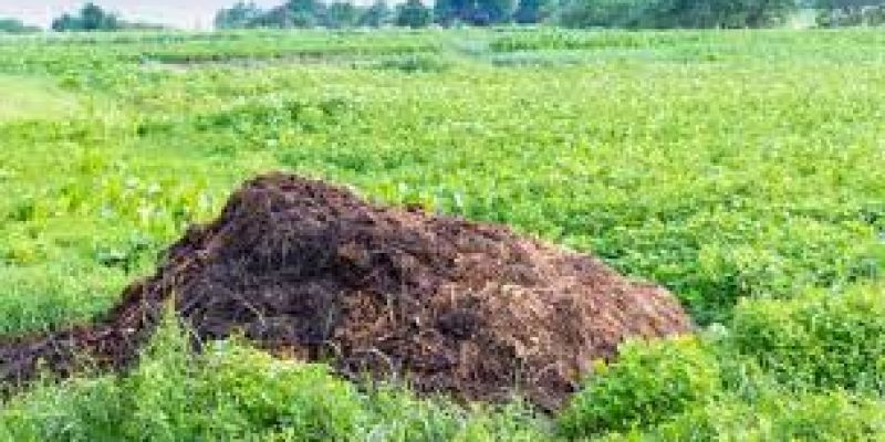 Andaman & Nicobar becomes first large territory to get organic certification