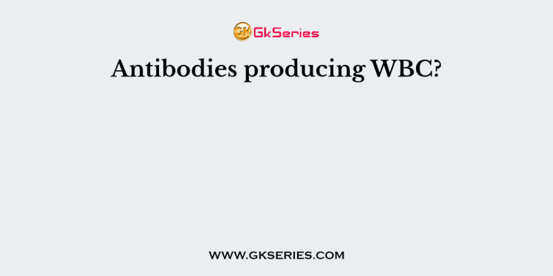 Antibodies producing WBC?