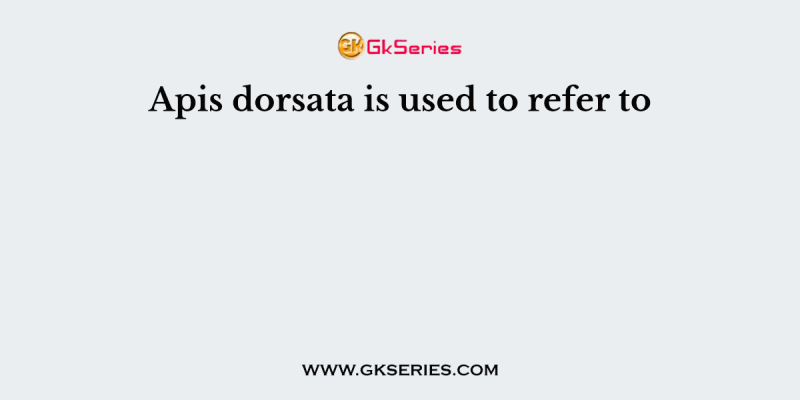 Apis dorsata is used to refer to