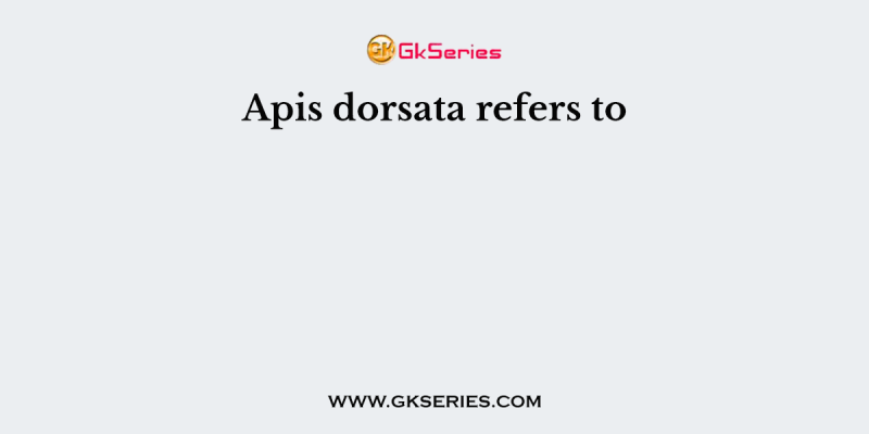 Apis dorsata refers to
