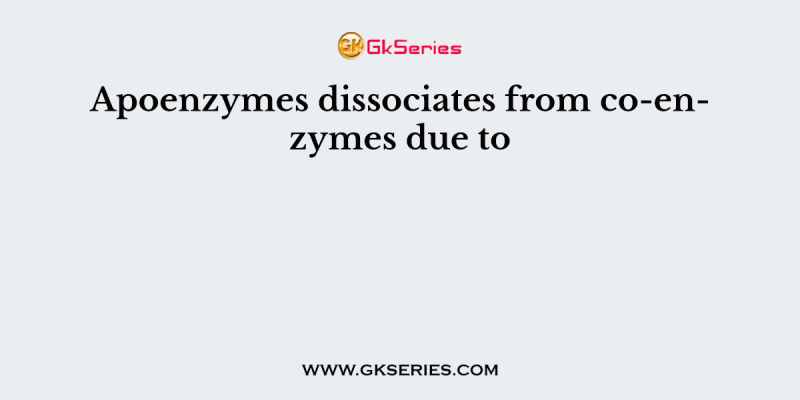 Apoenzymes dissociates from co-enzymes due to