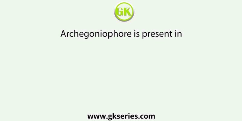 Archegoniophore is present in