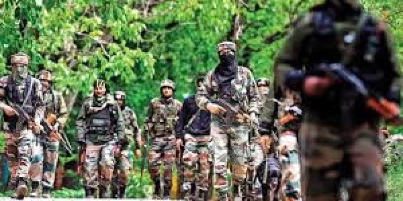 Armed Forces in the Fight against COVID-19