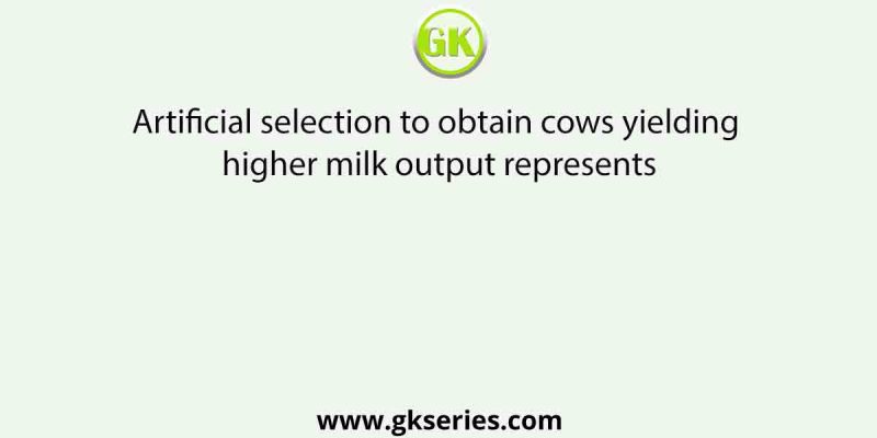 Artificial selection to obtain cows yielding higher milk output represents