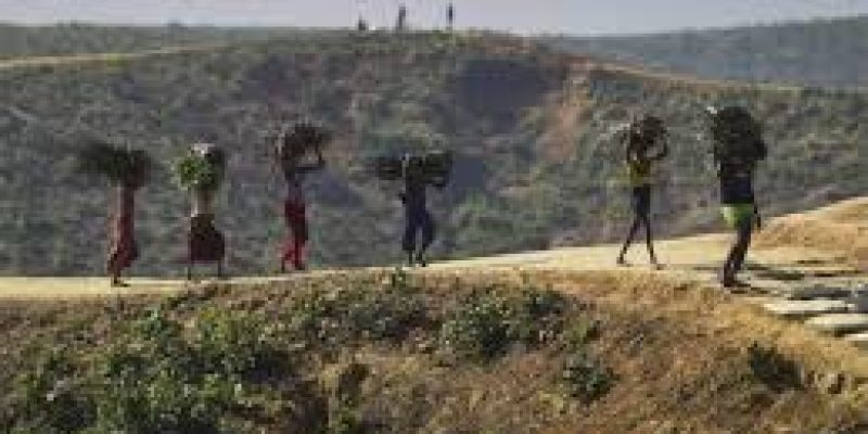 Depopulation in Border Areas of Arunachal Pradesh