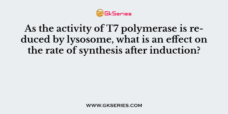 As the activity of T7 polymerase is reduced by lysosome, what is an effect on the rate of synthesis after induction?