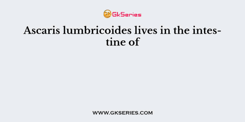 Ascaris lumbricoides lives in the intestine of