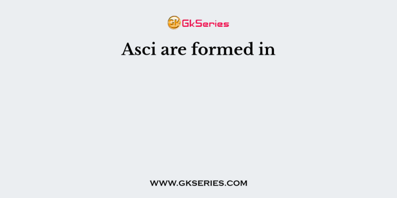 Asci are formed in