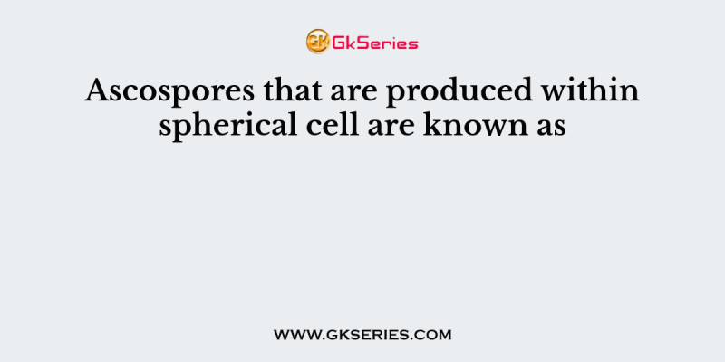 Ascospores that are produced within spherical cell are known as